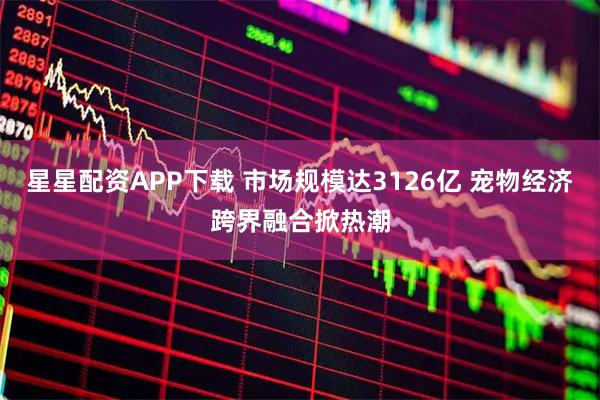 星星配资APP下载 市场规模达3126亿 宠物经济跨界融合掀热潮