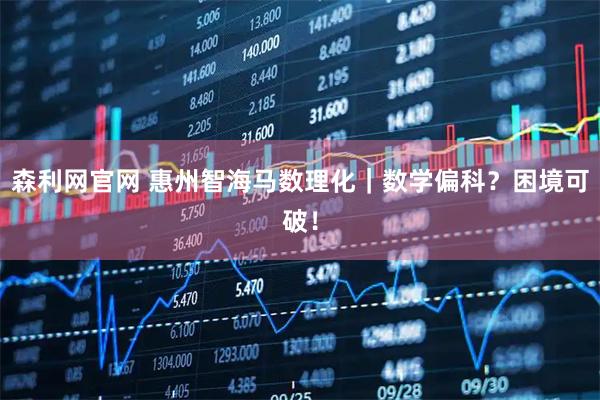 森利网官网 惠州智海马数理化｜数学偏科？困境可破！
